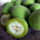 Настойка зеленого грецкого ореха – применение и рецепт приготовления