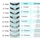Режутся зубки у ребенка — признаки, схема прорезывания, как помочь малышу в этот период