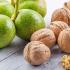 Medicinal properties of green walnuts